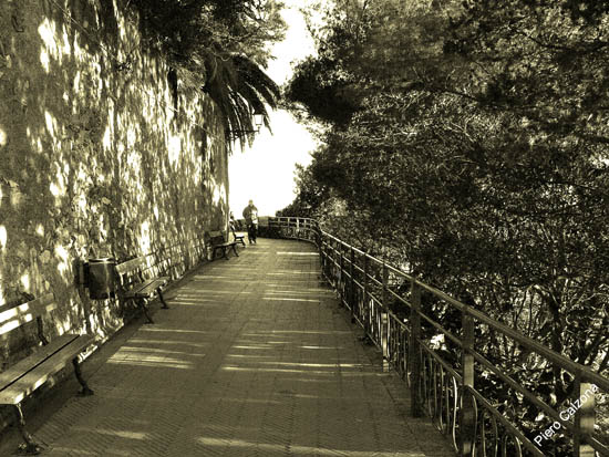 P1100371
