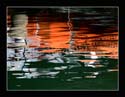 Reflected Reality 43