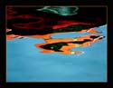 Reflected Reality 46