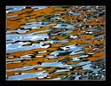 Reflected Reality 62