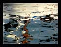 Reflected Reality 87
