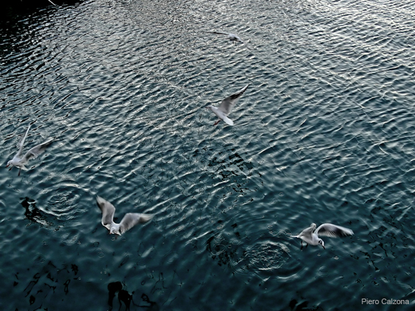 P1190666