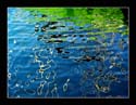 Reflected Reaity 03