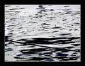 Reflected Reality 27