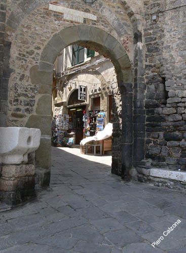 P1030658