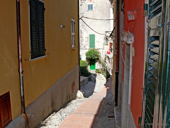 P1130847