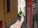 P1130847
