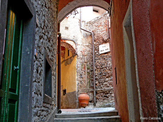 P1130950