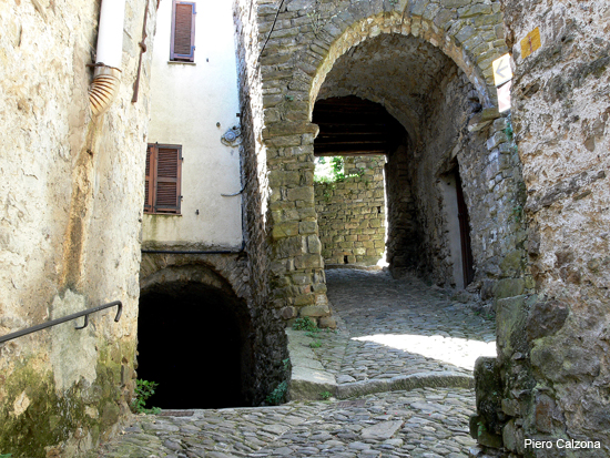 P1130531