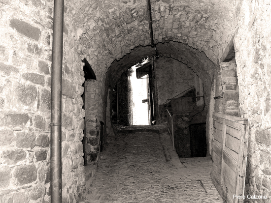 P1130545 bn
