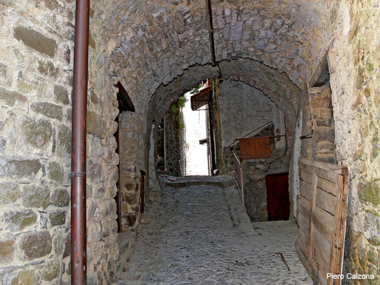 P1130545