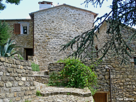P1130556