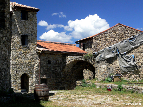 P1130589