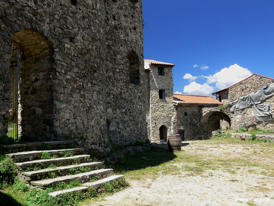 P1130590