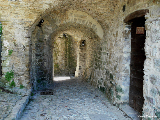 P1130592