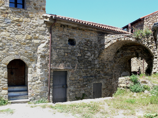 P1130595