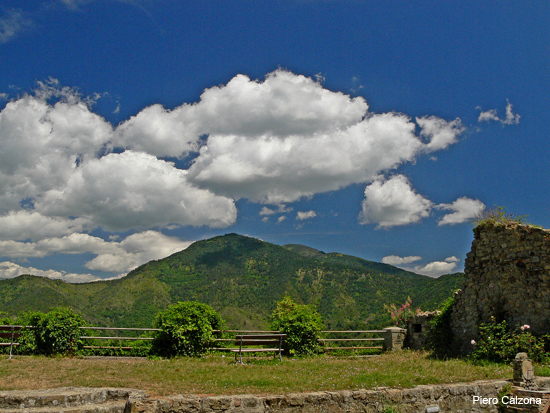 P1130600