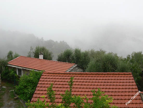 P1070679