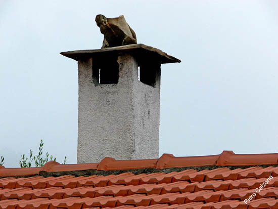 P1070714