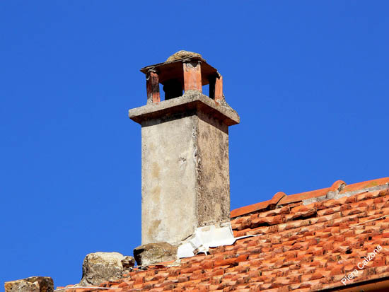 P1070869