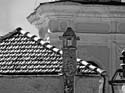 P1070864 B-N