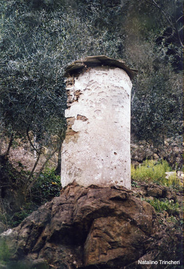 Senza titolo-06