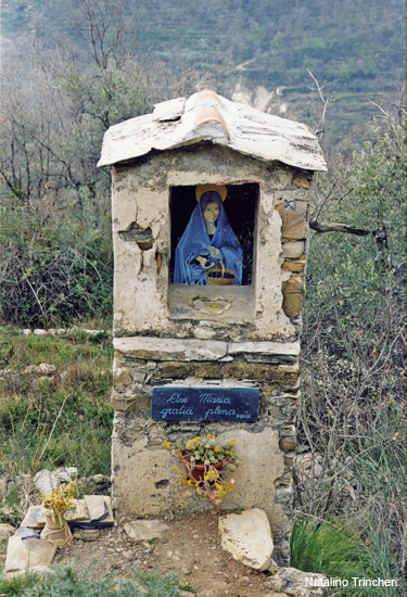 Senza titolo-21