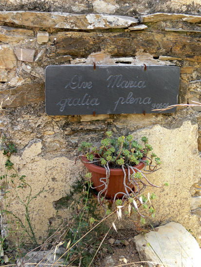 P1160488