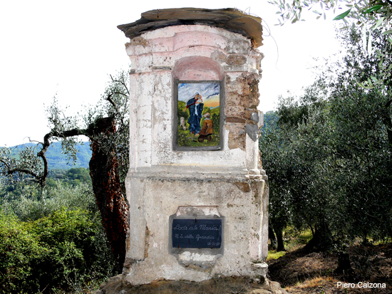 P1160491