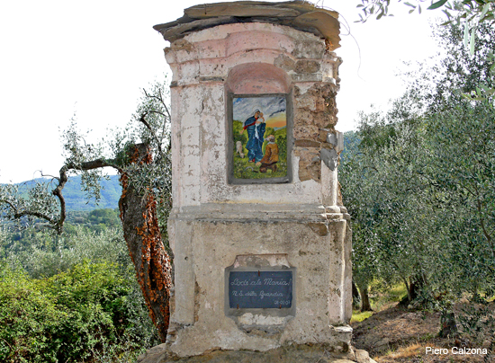 P1160500