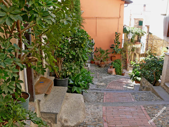 P1070168