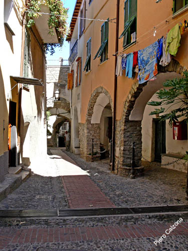 P1070105