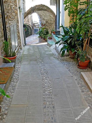 P1070129