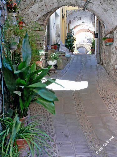 P1070143