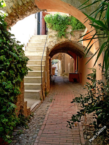 P1070166
