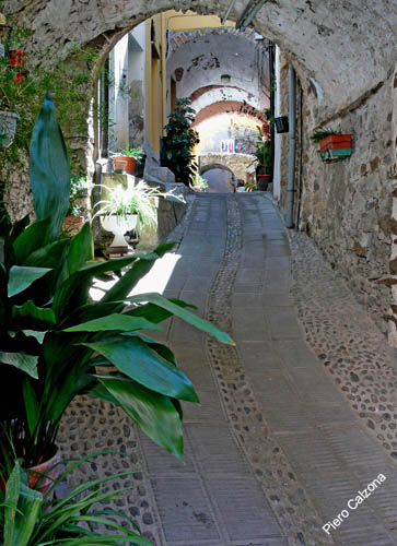 P1070177