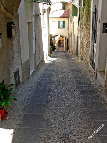 P1070195