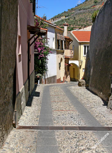 P1070202