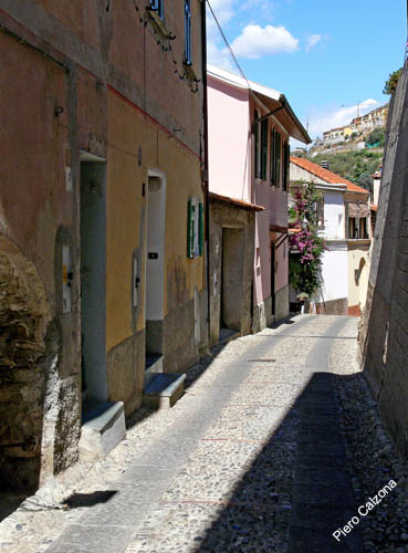 P1070206