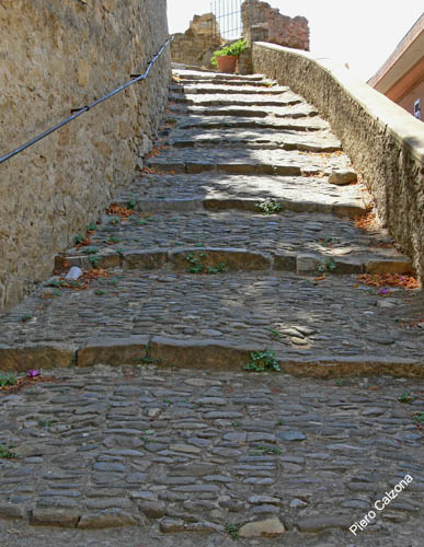 P1070207