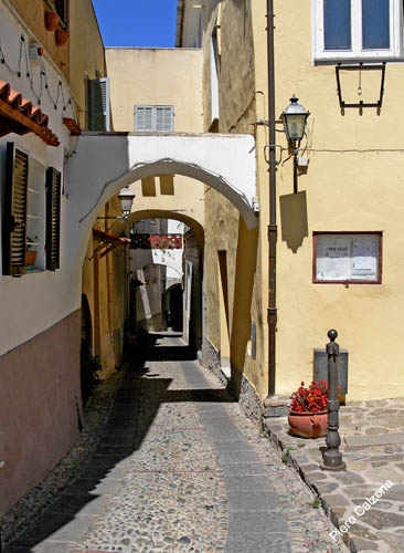 P1070232