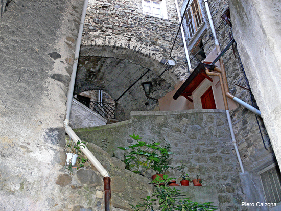 P1130753