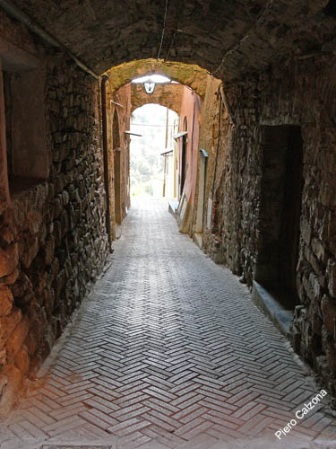 P1080585