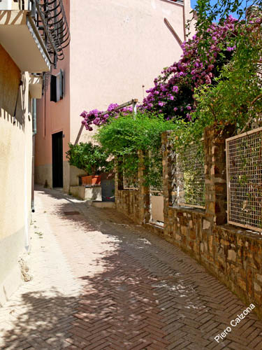 P1080677