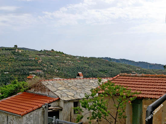 P1080153