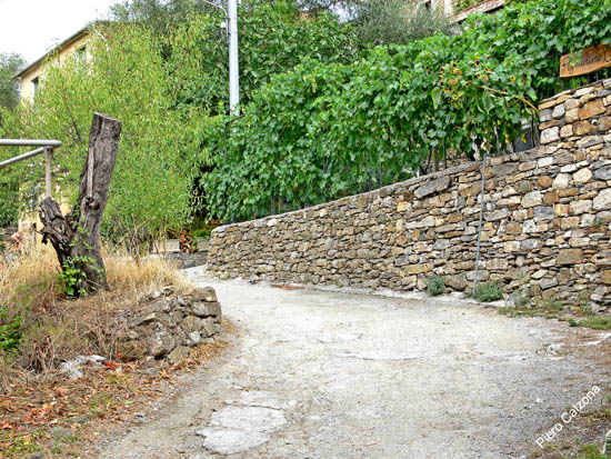 P1080158