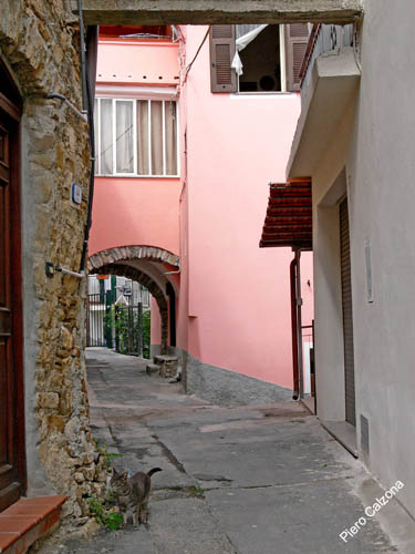 P1080154