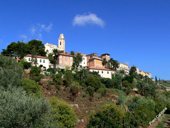 P1070781