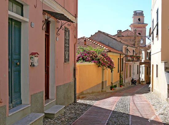 P1070842