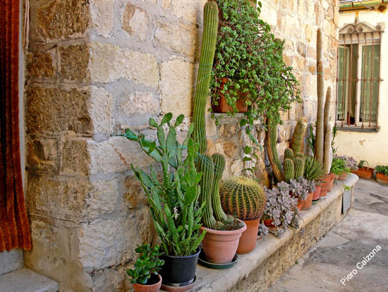 P1070856